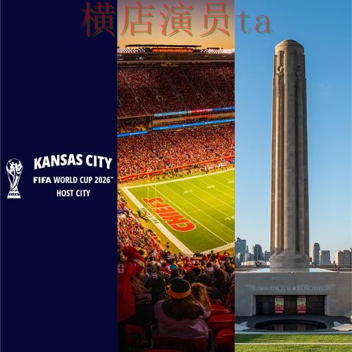 FIFA World Cup 2026期间热门世界杯投注平台精选与直播入口分析