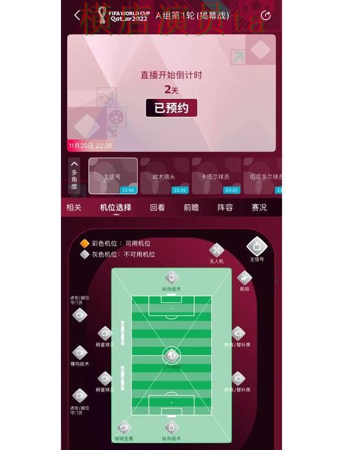 世界杯直播来临，世界杯买球网站访问方式与平台选择精选